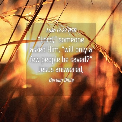 Picture 04 - Luke 13:23 BSB - “Lord,” someone asked Him, “will only a few - Bible Verse Picture