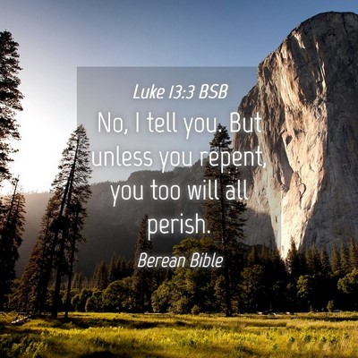 Picture 04 - Luke 13:3 BSB - No, I tell you. But unless you repent, you too - Bible Verse Picture