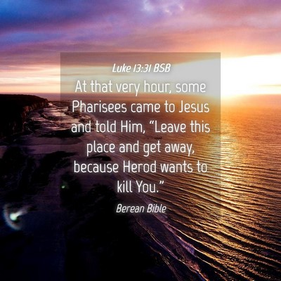 Picture 04 - Luke 13:31 BSB - At that very hour, some Pharisees came to Jesus - Bible Verse Picture