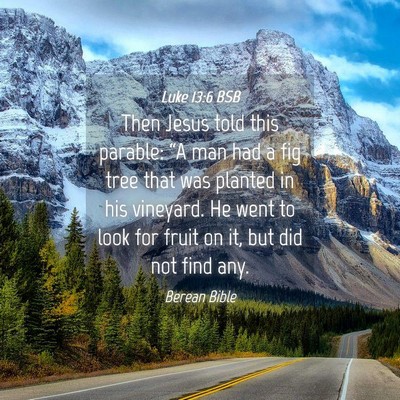 Picture 04 - Luke 13:6 BSB - Then Jesus told this parable: “A man had a fig - Bible Verse Picture