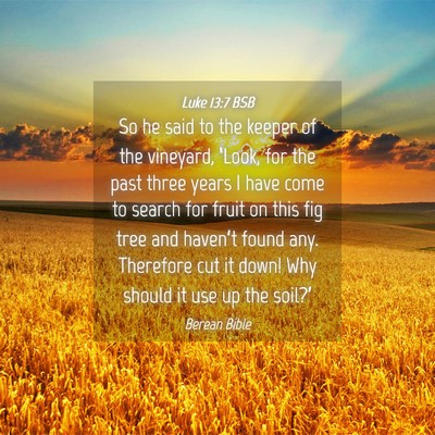 Picture 04 - Luke 13:7 BSB - So he said to the keeper of the vineyard, - Bible Verse Picture