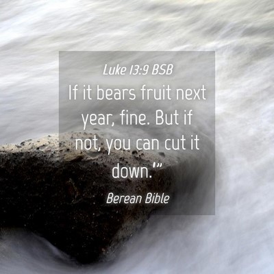 Picture 04 - Luke 13:9 BSB - If it bears fruit next year, fine. But if not, - Bible Verse Picture