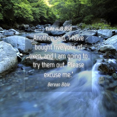 Picture 04 - Luke 14:19 BSB - Another said, ‘I have bought five yoke of oxen, - Bible Verse Picture