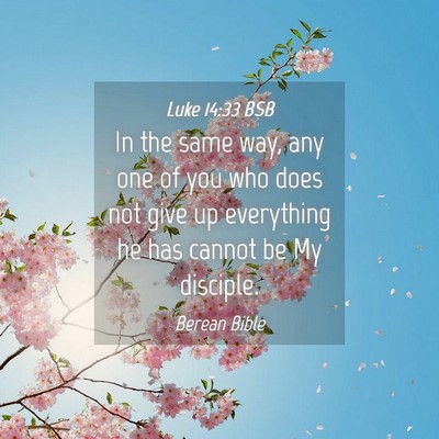 Picture 04 - Luke 14:33 BSB - In the same way, any one of you who does not give - Bible Verse Picture