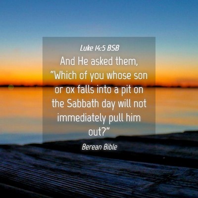 Picture 04 - Luke 14:5 BSB - And He asked them, “Which of you whose son or - Bible Verse Picture