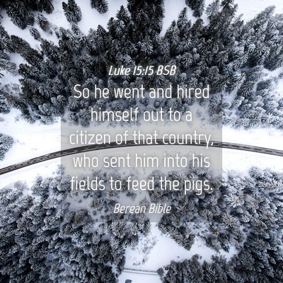 Picture 04 - Luke 15:15 BSB - So he went and hired himself out to a citizen of - Bible Verse Picture