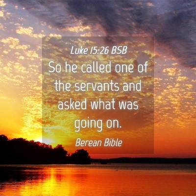 Picture 04 - Luke 15:26 BSB - So he called one of the servants and asked what - Bible Verse Picture
