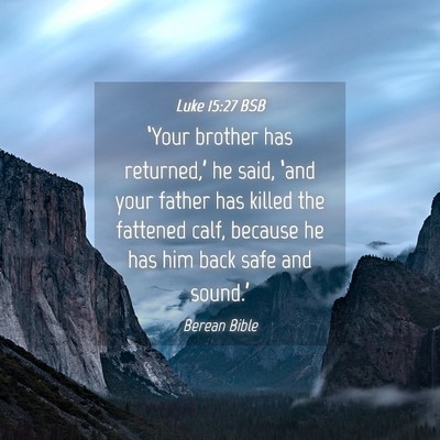 Picture 04 - Luke 15:27 BSB - ‘Your brother has returned,’ he said, ‘and - Bible Verse Picture