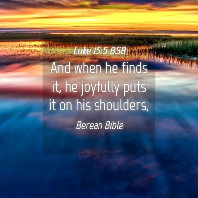 Picture 04 - Luke 15:5 BSB - And when he finds it, he joyfully puts it on his - Bible Verse Picture