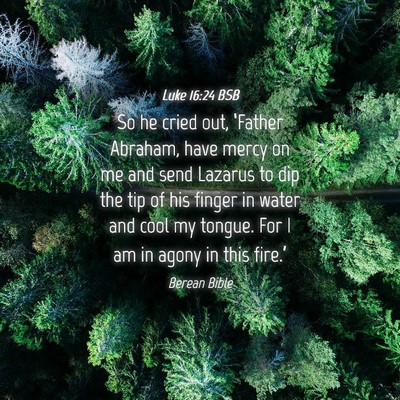 Picture 04 - Luke 16:24 BSB - So he cried out, ‘Father Abraham, have mercy on - Bible Verse Picture