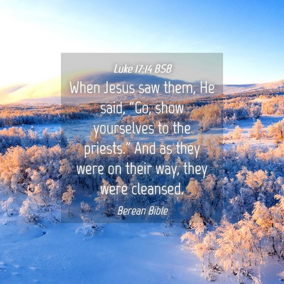 Picture 04 - Luke 17:14 BSB - When Jesus saw them, He said, “Go, show - Bible Verse Picture