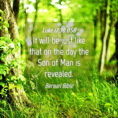 Picture 04 - Luke 17:30 BSB - It will be just like that on the day the Son of - Bible Verse Picture