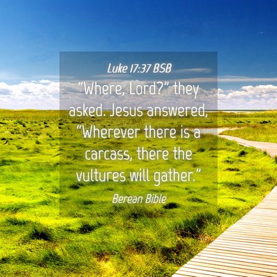 Picture 04 - Luke 17:37 BSB - “Where, Lord?” they asked. Jesus answered, - Bible Verse Picture