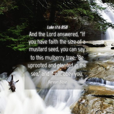 Picture 04 - Luke 17:6 BSB - And the Lord answered, “If you have faith the - Bible Verse Picture