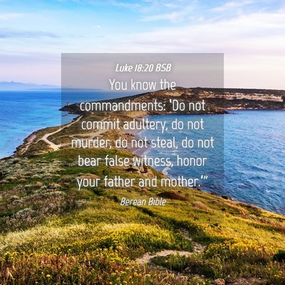 Picture 04 - Luke 18:20 BSB - You know the commandments: ‘Do not commit - Bible Verse Picture