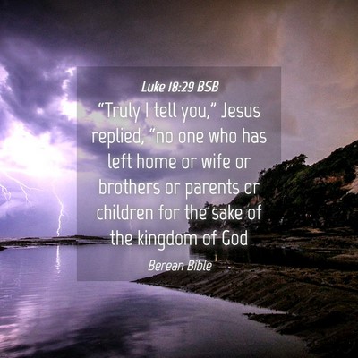 Picture 04 - Luke 18:29 BSB - “Truly I tell you,” Jesus replied, “no one - Bible Verse Picture