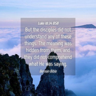 Picture 04 - Luke 18:34 BSB - But the disciples did not understand any of these - Bible Verse Picture
