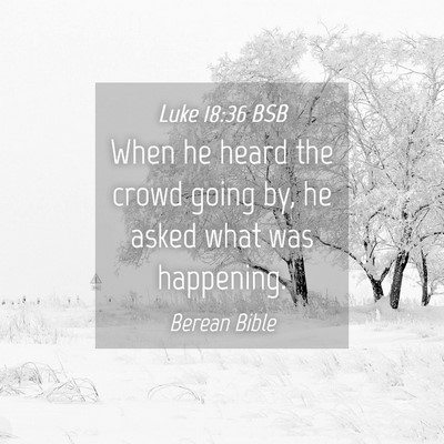 Picture 04 - Luke 18:36 BSB - When he heard the crowd going by, he asked what - Bible Verse Picture