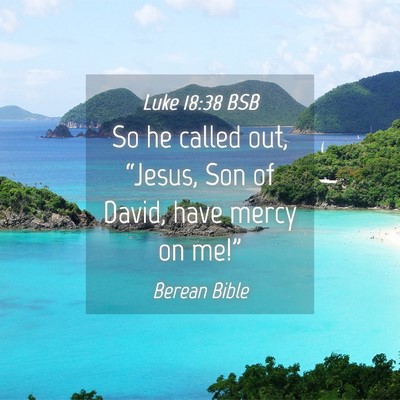 Picture 04 - Luke 18:38 BSB - So he called out, “Jesus, Son of David, have - Bible Verse Picture