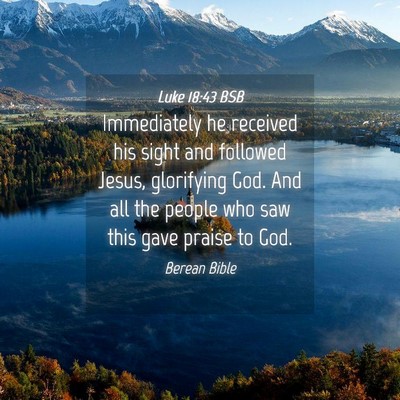 Picture 04 - Luke 18:43 BSB - Immediately he received his sight and followed - Bible Verse Picture