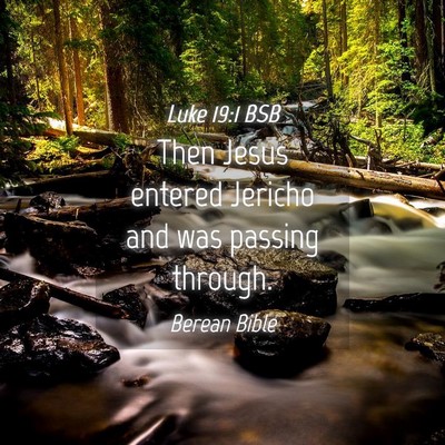 Picture 04 - Luke 19:1 BSB - Then Jesus entered Jericho and was passing - Bible Verse Picture
