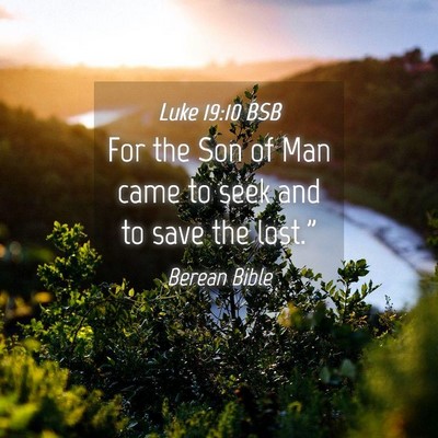 Picture 04 - Luke 19:10 BSB - For the Son of Man came to seek and to save the - Bible Verse Picture