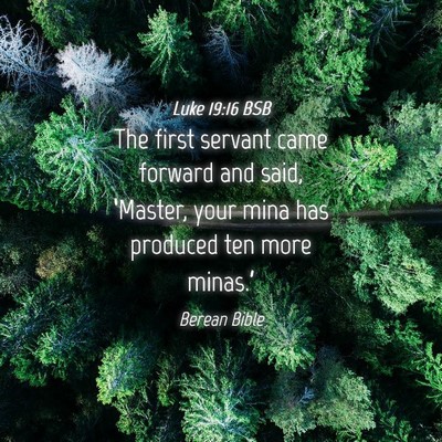 Picture 04 - Luke 19:16 BSB - The first servant came forward and said, - Bible Verse Picture