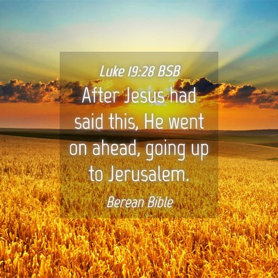 Picture 04 - Luke 19:28 BSB - After Jesus had said this, He went on ahead, - Bible Verse Picture