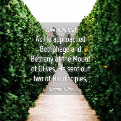 Picture 04 - Luke 19:29 BSB - As He approached Bethphage and Bethany at the - Bible Verse Picture