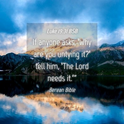 Picture 04 - Luke 19:31 BSB - If anyone asks, ‘Why are you untying it?’ - Bible Verse Picture
