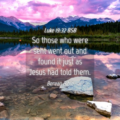 Picture 04 - Luke 19:32 BSB - So those who were sent went out and found it just - Bible Verse Picture