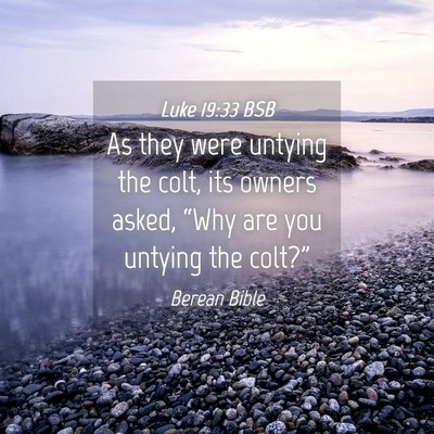 Picture 04 - Luke 19:33 BSB - As they were untying the colt, its owners asked, - Bible Verse Picture