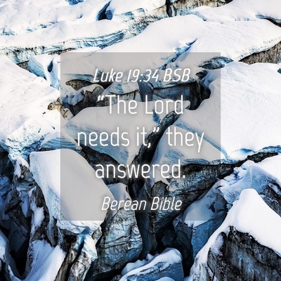 Picture 04 - Luke 19:34 BSB - “The Lord needs it,” they - Bible Verse Picture