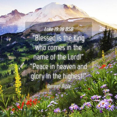 Picture 04 - Luke 19:38 BSB - “Blessed is the King who comes in the name of - Bible Verse Picture