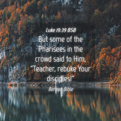 Picture 04 - Luke 19:39 BSB - But some of the Pharisees in the crowd said to - Bible Verse Picture