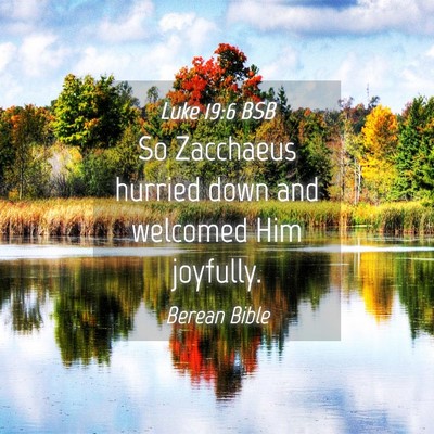 Picture 04 - Luke 19:6 BSB - So Zacchaeus hurried down and welcomed Him - Bible Verse Picture