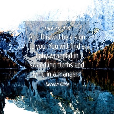 Picture 04 - Luke 2:12 BSB - And this will be a sign to you: You will find a - Bible Verse Picture