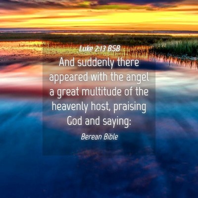 Picture 04 - Luke 2:13 BSB - And suddenly there appeared with the angel a - Bible Verse Picture