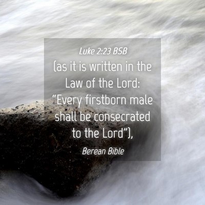 Picture 04 - Luke 2:23 BSB - (as it is written in the Law of the Lord: - Bible Verse Picture