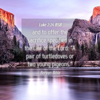 Picture 04 - Luke 2:24 BSB - and to offer the sacrifice specified in the Law - Bible Verse Picture
