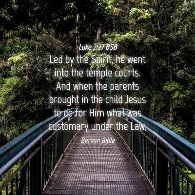 Picture 04 - Luke 2:27 BSB - Led by the Spirit, he went into the temple - Bible Verse Picture