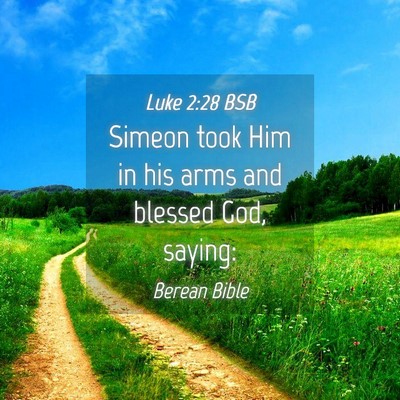 Picture 04 - Luke 2:28 BSB - Simeon took Him in his arms and blessed God, - Bible Verse Picture