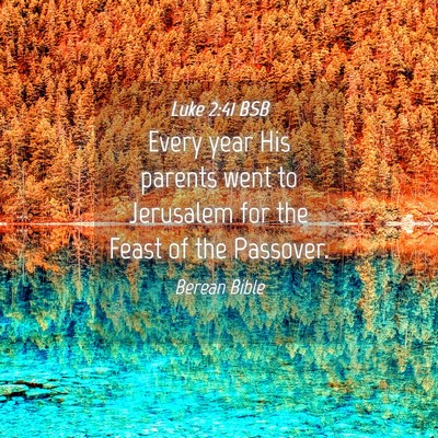 Picture 04 - Luke 2:41 BSB - Every year His parents went to Jerusalem for the - Bible Verse Picture