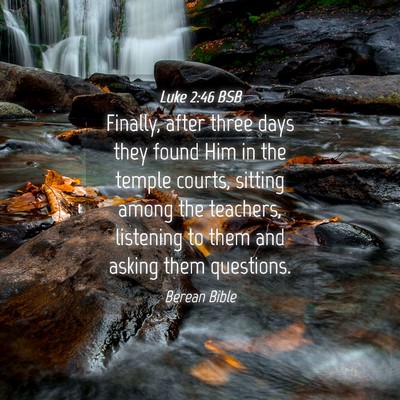 Picture 04 - Luke 2:46 BSB - Finally, after three days they found Him in the - Bible Verse Picture