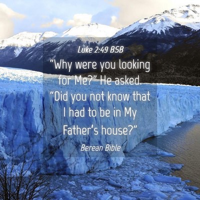 Picture 04 - Luke 2:49 BSB - “Why were you looking for Me?” He asked. - Bible Verse Picture