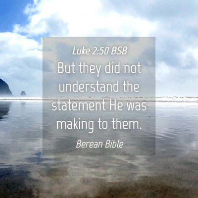 Picture 04 - Luke 2:50 BSB - But they did not understand the statement He was - Bible Verse Picture