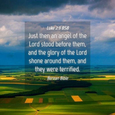 Picture 04 - Luke 2:9 BSB - Just then an angel of the Lord stood before them, - Bible Verse Picture