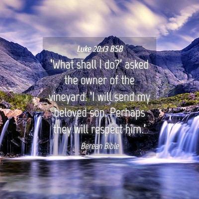 Picture 04 - Luke 20:13 BSB - ‘What shall I do?’ asked the owner of the - Bible Verse Picture