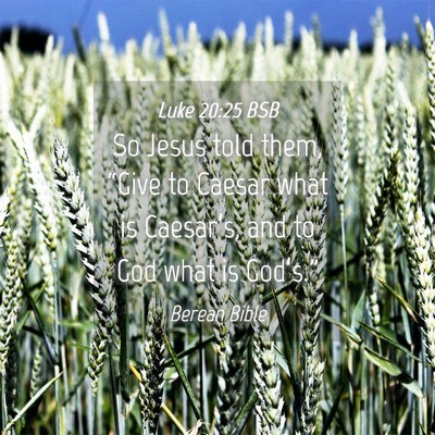 Picture 04 - Luke 20:25 BSB - So Jesus told them, “Give to Caesar what is - Bible Verse Picture
