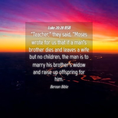 Picture 04 - Luke 20:28 BSB - “Teacher,” they said, “Moses wrote for us - Bible Verse Picture